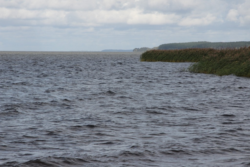 nowa pasleka (4)